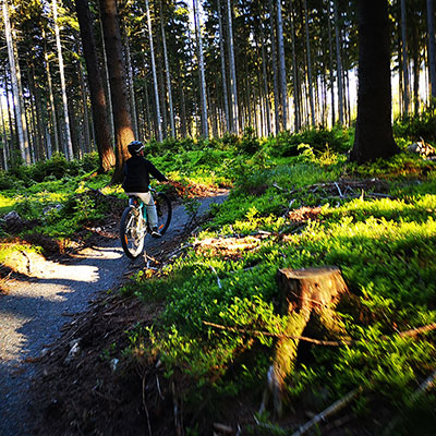 Singletrack Jagodna